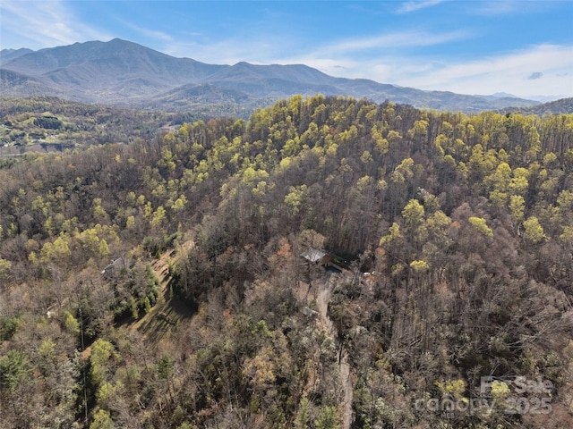 mountain view with a view of trees