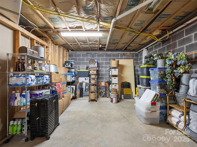 unfinished below grade area featuring concrete block wall