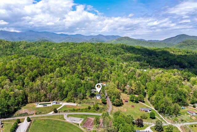 39 W Holly Ridge Dr, Old Fort, NC 28762 - photo 41