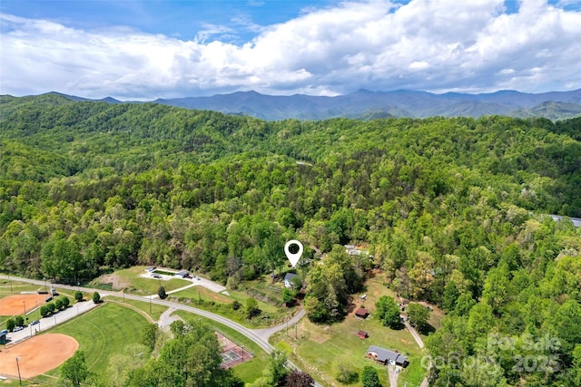 39 W Holly Ridge Dr, Old Fort, NC 28762 - photo 42