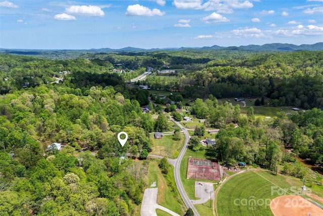39 W Holly Ridge Dr, Old Fort, NC 28762 - photo 44