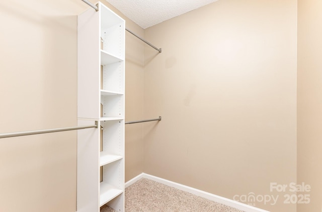 7607 Petrea Ln, Charlotte, NC 28227 - photo 17