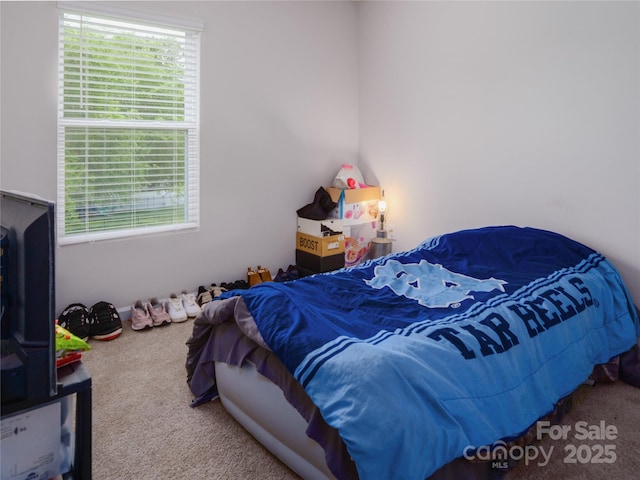 14727 Choate Cir Unit 2, Charlotte, NC 28273 - carpeted bedroom featuring multiple windows
