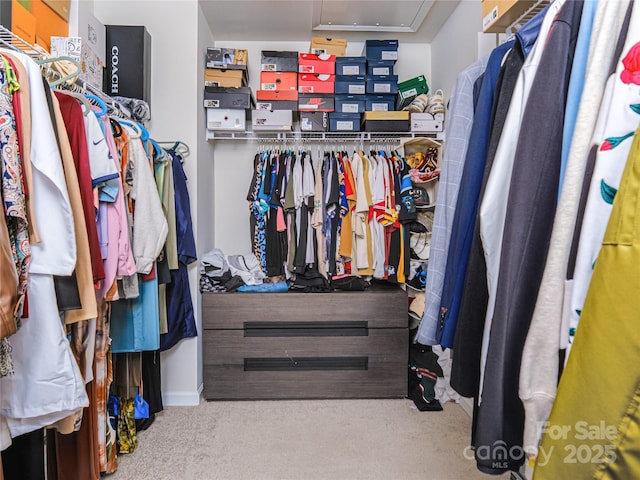14727 Choate Cir Unit 2, Charlotte, NC 28273 - spacious closet with carpet floors