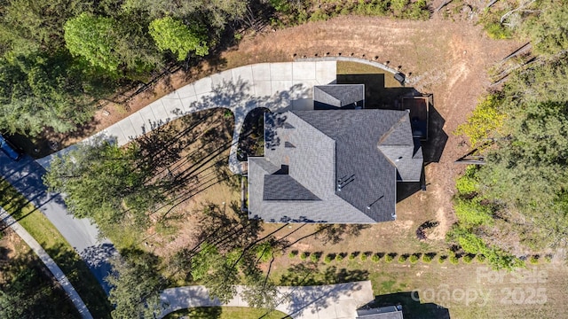 bird's eye view