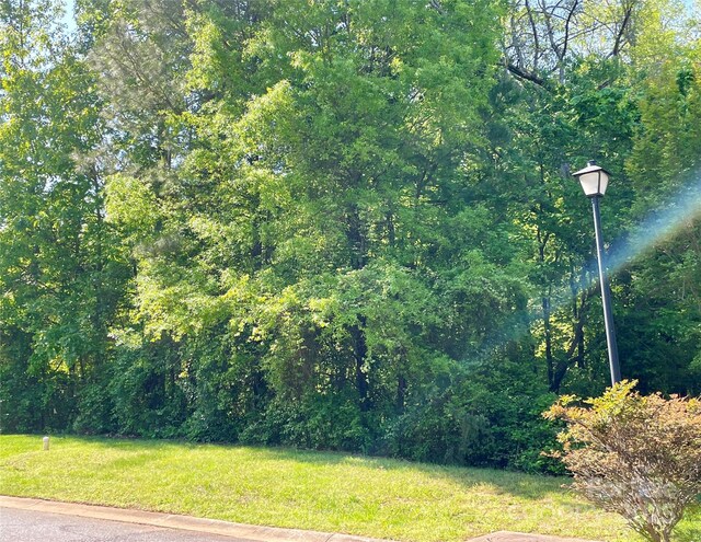 1033 Millhouse Dr, Rock Hill, SC 29730 - photo 3