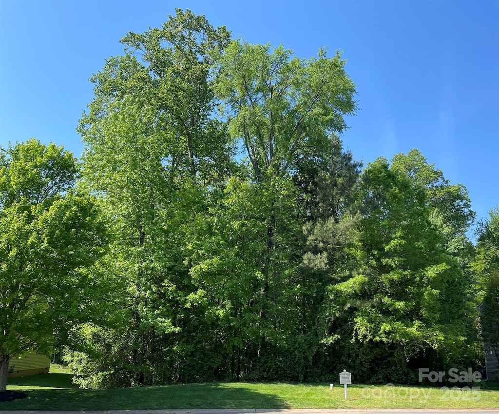 1033 Millhouse Dr, Rock Hill, SC 29730 - photo 4