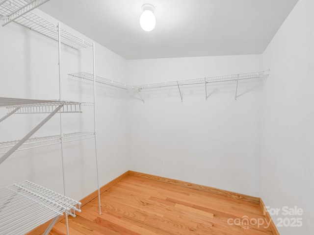 walk in closet featuring light wood finished floors