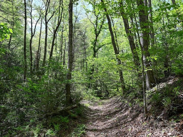 view of local wilderness with a wooded view