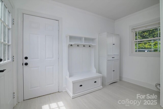 2138 Revolution Park Dr, Charlotte, NC 28208 - mudroom featuring ornamental molding and baseboards