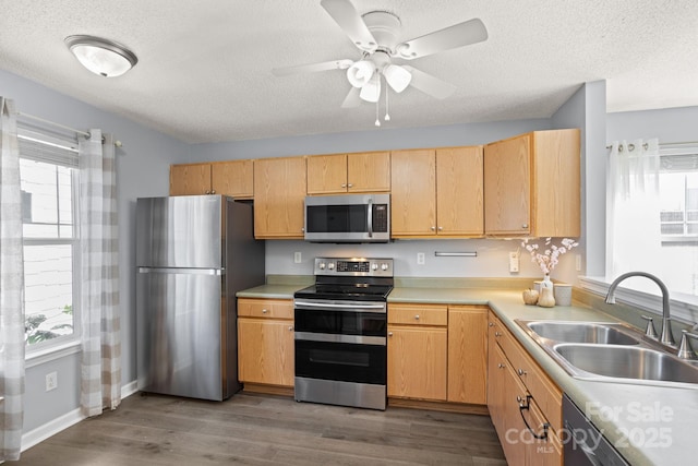 1201 Deermouse Way, Hendersonville, NC 28792 - kitchen with wood finished floors, appliances with stainless steel finishes, plenty of natural light, and a sink