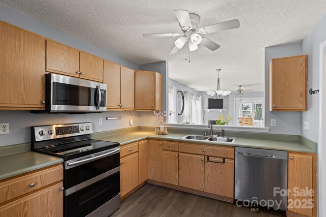 1201 Deermouse Way, Hendersonville, NC 28792 - kitchen with dark wood-style floors, a sink, a textured ceiling, ceiling fan with notable chandelier, and appliances with stainless steel finishes