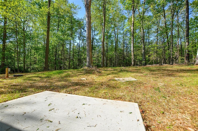 view of yard featuring a patio and a wooded view