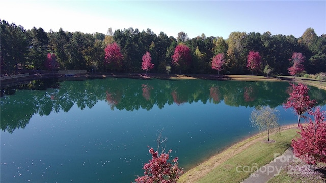 3057 Drummond Ave, Indian Land, SC 29707 - property view of water with a wooded view