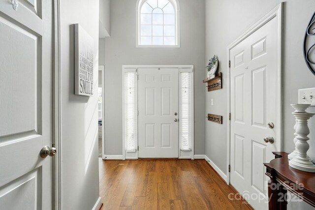 foyer with baseboards, wood finished floors, and a towering ceiling