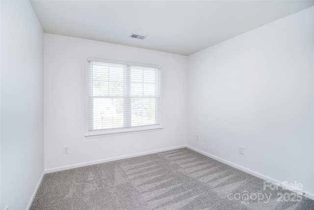 6631 Vlosi Dr, Charlotte, NC 28226 - photo 23