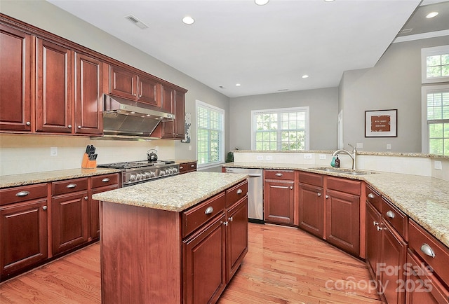 1105 Hoyle Ln, Waxhaw, NC 28173 - kitchen featuring stainless steel dishwasher, a sink, light wood finished floors, and stove