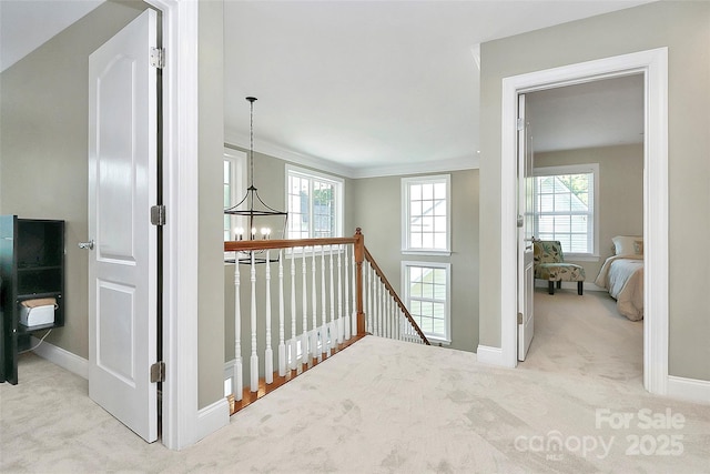 1105 Hoyle Ln, Waxhaw, NC 28173 - hallway with baseboards, carpet floors, and an upstairs landing