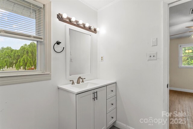 bathroom with baseboards, wood finished floors, vanity, and crown molding