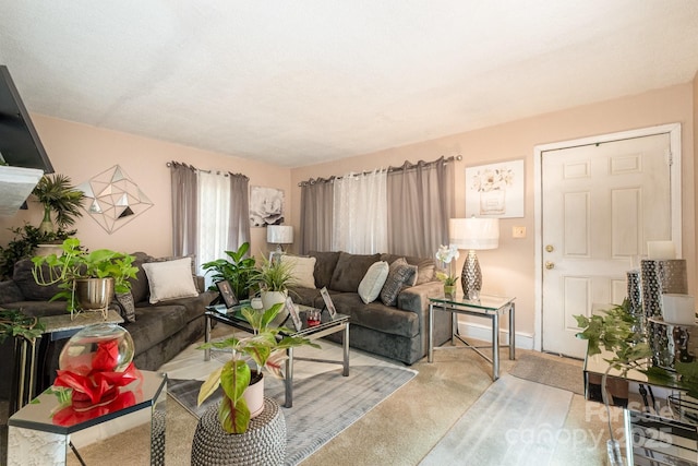 3919 Sarah Dr Unit 14, Charlotte, NC 28217 - living room featuring carpet floors and baseboards