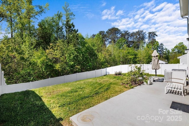 view of yard featuring a patio area and a fenced backyard