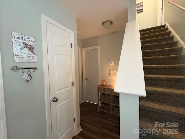 staircase with wood finished floors