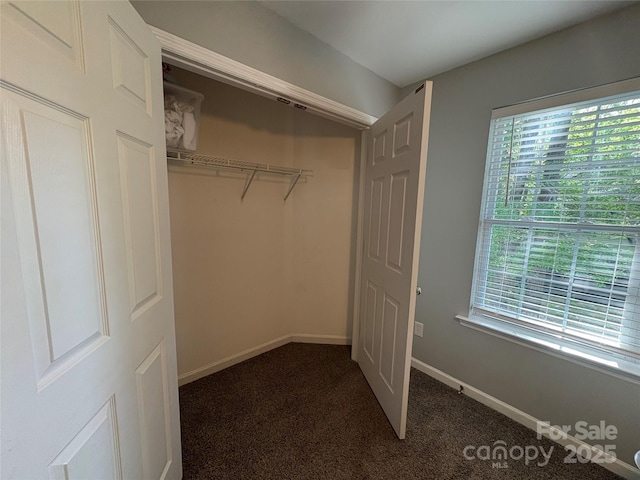 view of closet