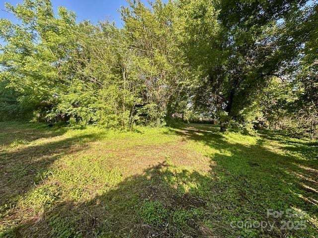 6000 S Main St, Salisbury, NC 28147 - view of yard featuring a forest view
