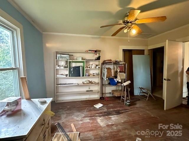 6000 S Main St, Salisbury, NC 28147 - bathroom with a ceiling fan, crown molding, and wood finished floors