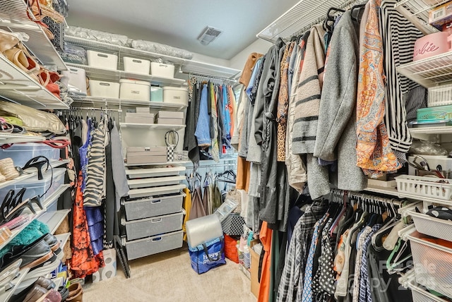 10836 Maryanna Ct, Charlotte, NC 28213 - spacious closet featuring carpet flooring and visible vents