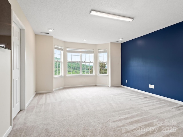 106 Thistle Tree Way, Weaverville, NC 28787 - unfurnished room featuring carpet floors, a textured ceiling, and baseboards