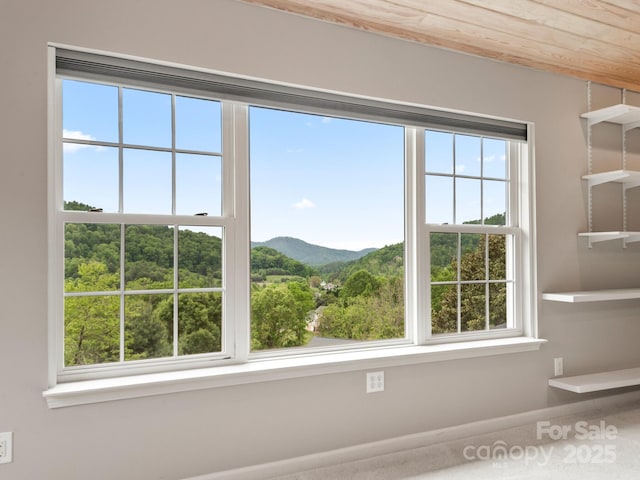 106 Thistle Tree Way, Weaverville, NC 28787 - detailed view of a mountain view and baseboards
