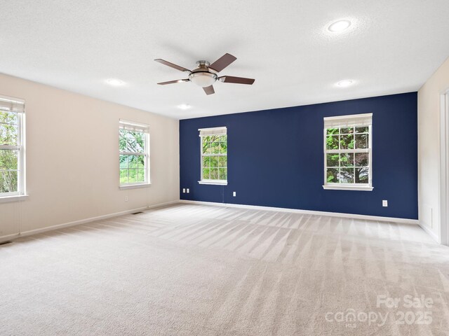 106 Thistle Tree Way, Weaverville, NC 28787 - photo 14