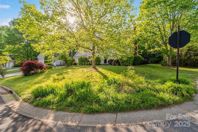 9100 Cameron Wood Dr, Charlotte, NC 28210 - photo 5