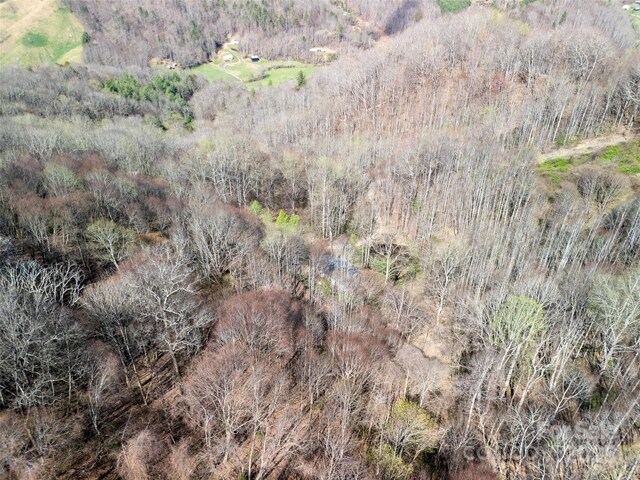 40ACRES Charity Ln, Burnsville, NC 28714