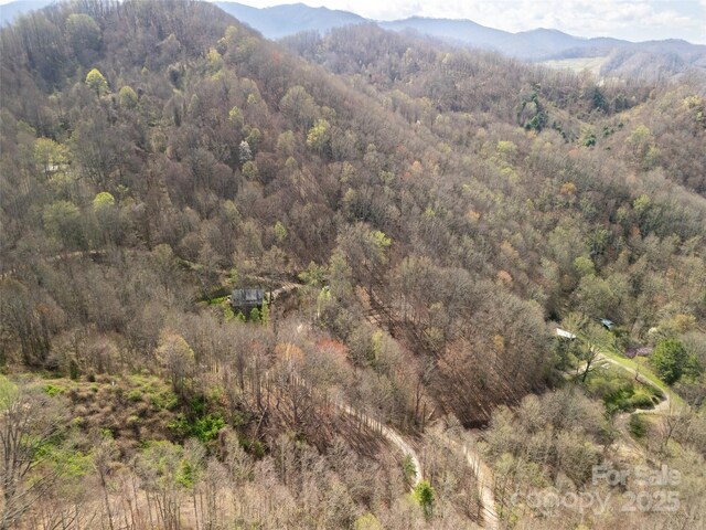 40ACRES Charity Ln, Burnsville, NC 28714