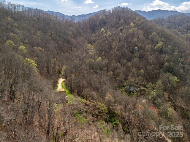 40ACRES Charity Ln, Burnsville, NC 28714