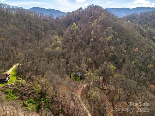 40ACRES Charity Ln, Burnsville, NC 28714