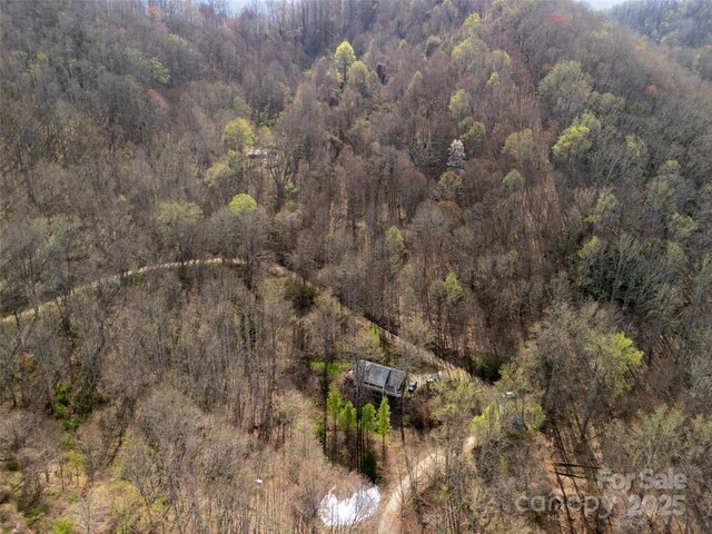 40ACRES Charity Ln, Burnsville, NC 28714