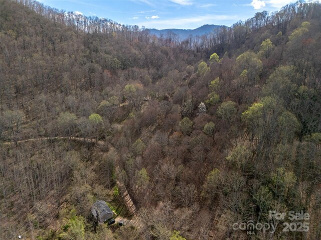 40ACRES Charity Ln, Burnsville, NC 28714