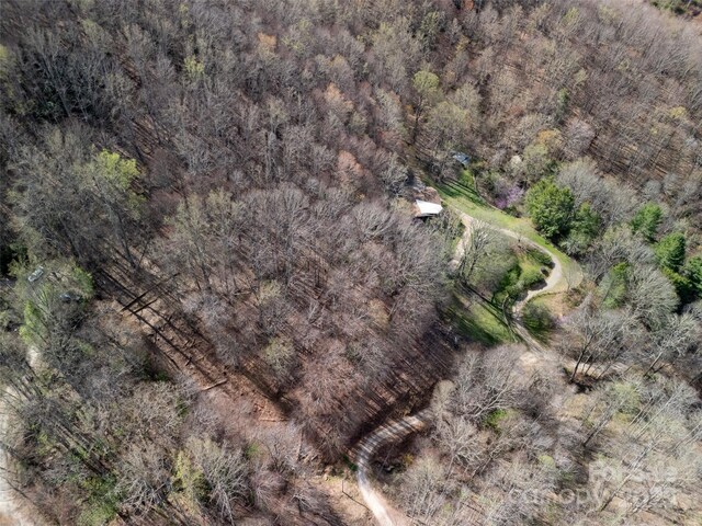40ACRES Charity Ln, Burnsville, NC 28714