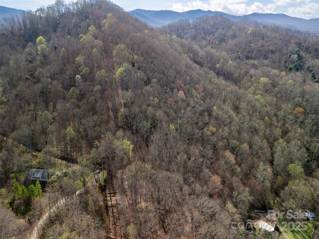 40ACRES Charity Ln, Burnsville, NC 28714