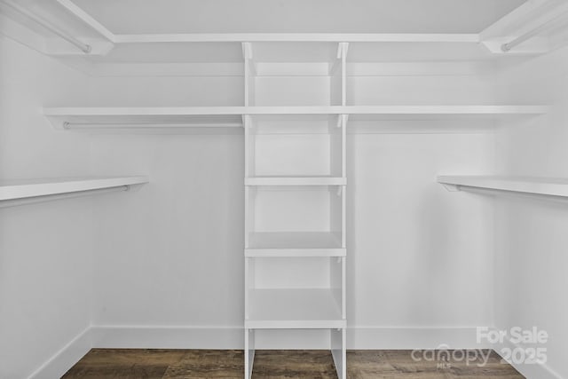 walk in closet featuring wood finished floors