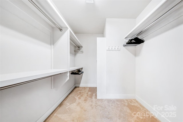 spacious closet featuring light colored carpet