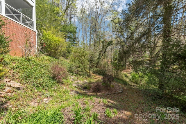 220 Ridge Rd, Waynesville, NC 28786 - view of yard
