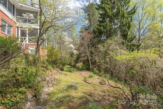 220 Ridge Rd, Waynesville, NC 28786 - view of yard