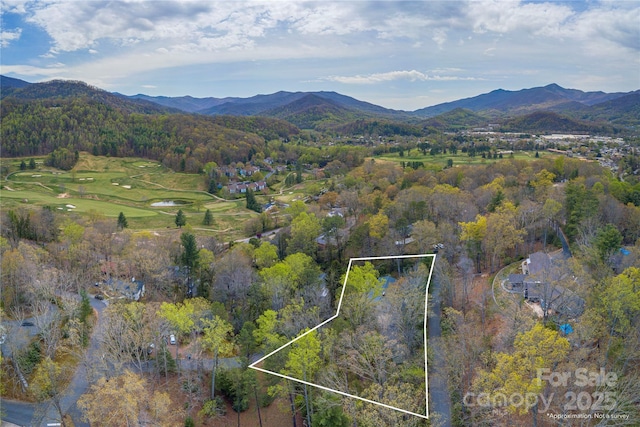 220 Ridge Rd, Waynesville, NC 28786 - view of property location featuring a mountain backdrop and property parcel outlined