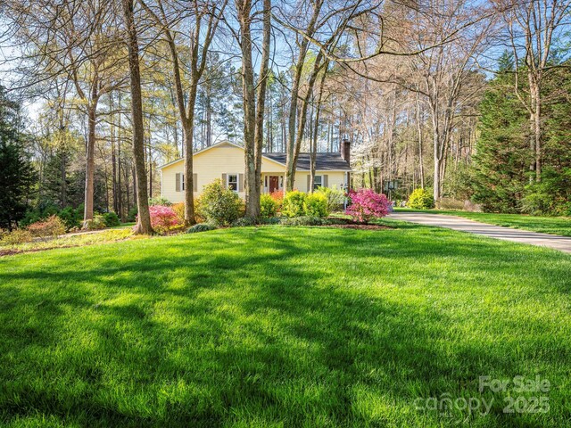 view of yard with driveway
