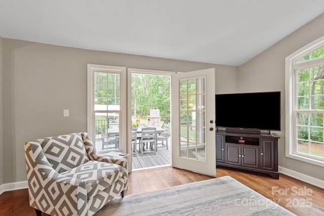 interior space featuring lofted ceiling, wood finished floors, and baseboards