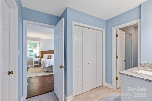 interior space featuring a sink, a closet, and baseboards